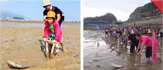 赶海吃海瓜视频,一场别开生面的海洋盛宴